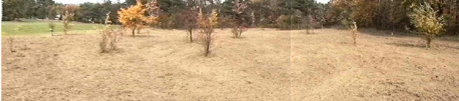 Cleared Site