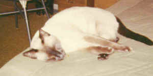 Chan on bed